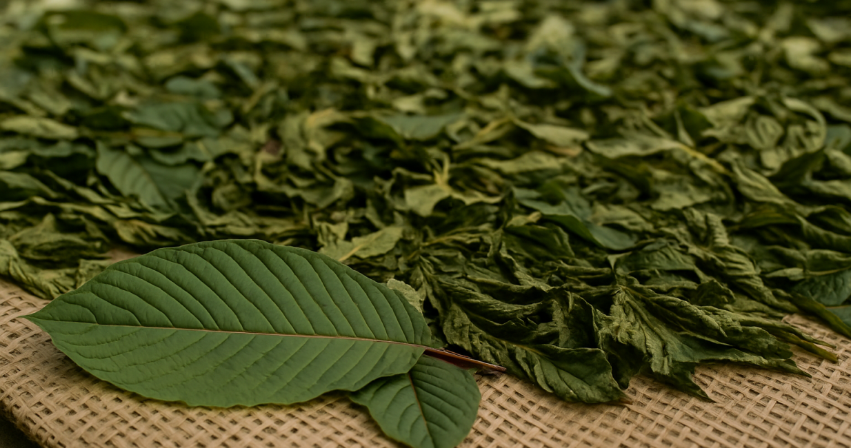 ChatGPT Image 23 Mei 2025, 18.10.14