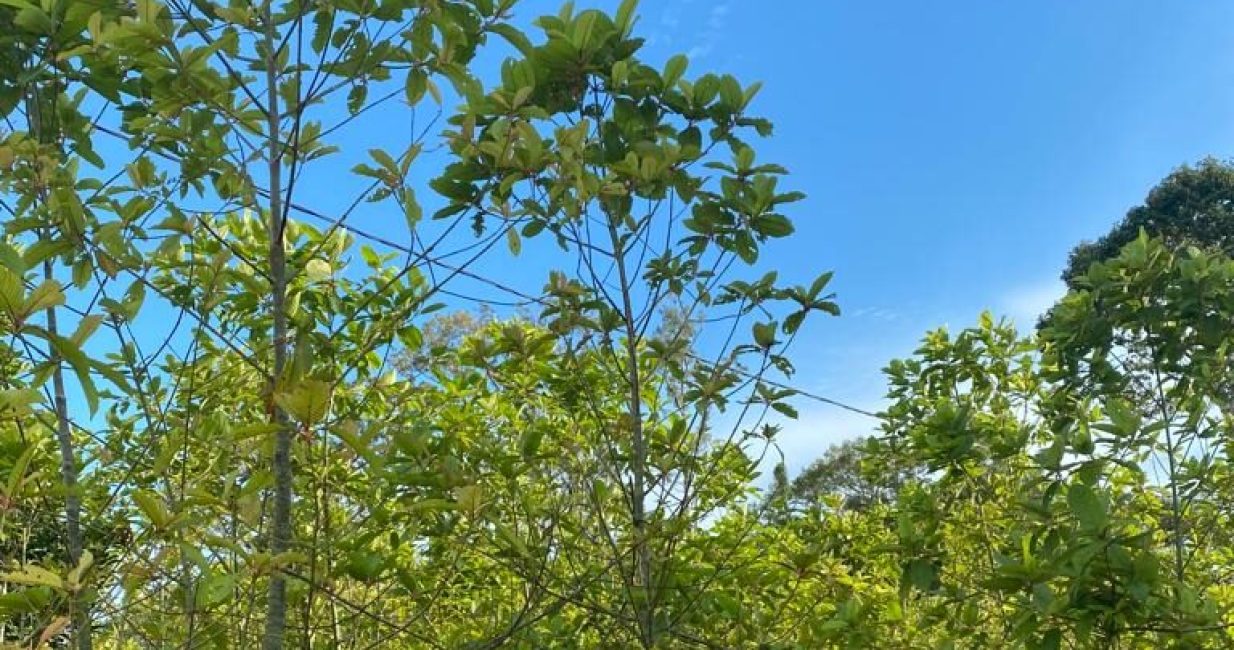 WhatsApp Image 2025-03-17 at 19.16.19_0608668b