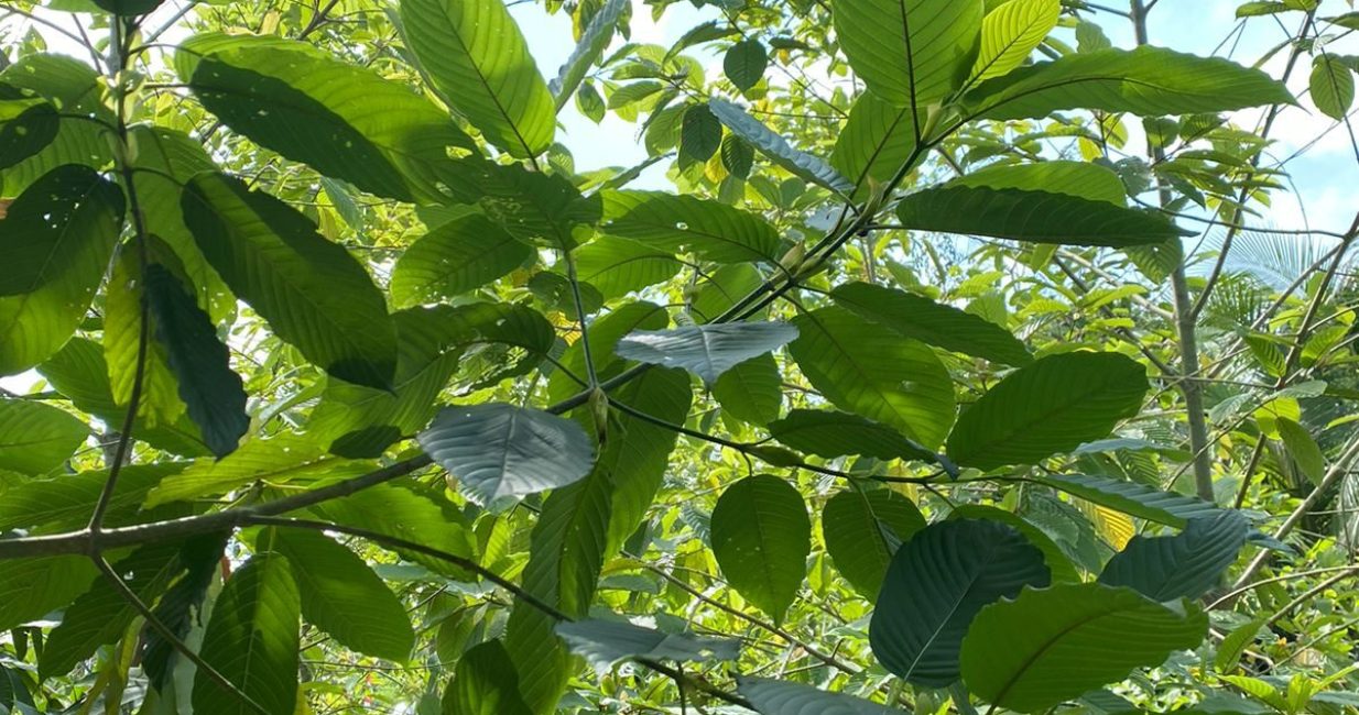 WhatsApp Image 2025-03-17 at 19.16.19_f33703db